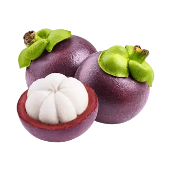 Mangosteen