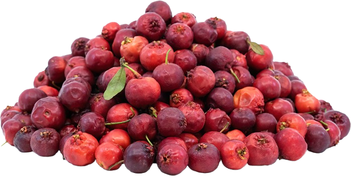 Mayhaw