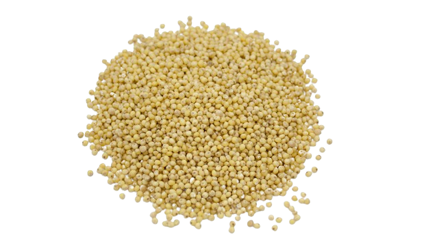 Millet