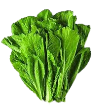 Mustard Greens
