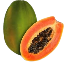 Pawpaw