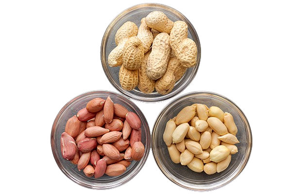 Peanuts