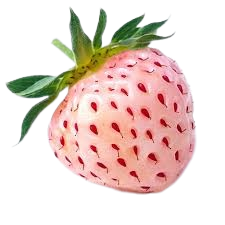 Pineberry