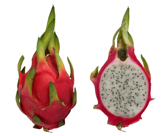 Pitaya