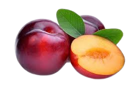 Plum