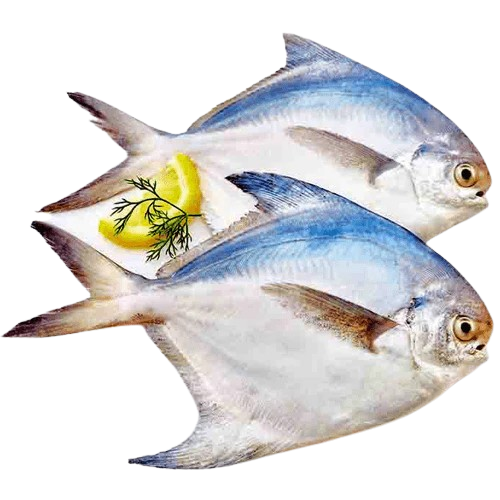 Pomfret