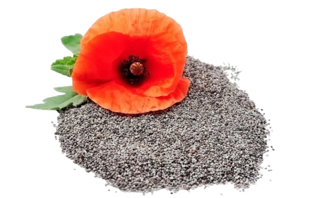 Poppy Seed