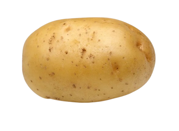 Potato