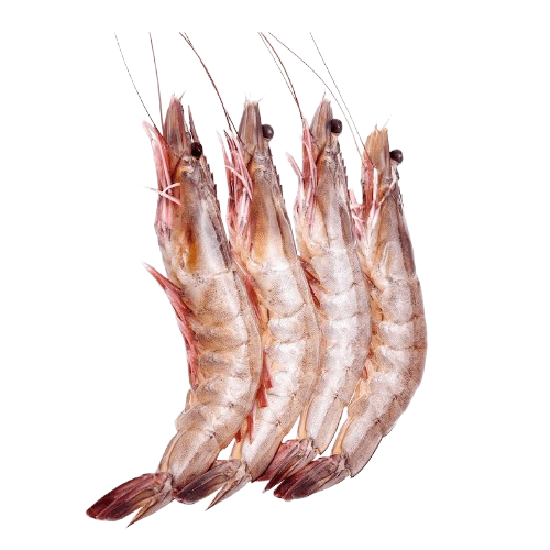 Prawns