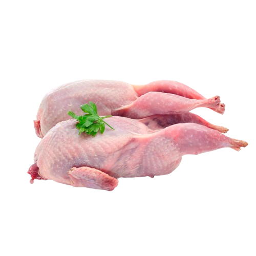 Quail