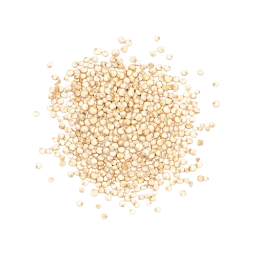 Quinoa