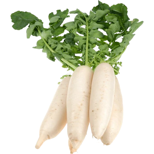 Radish
