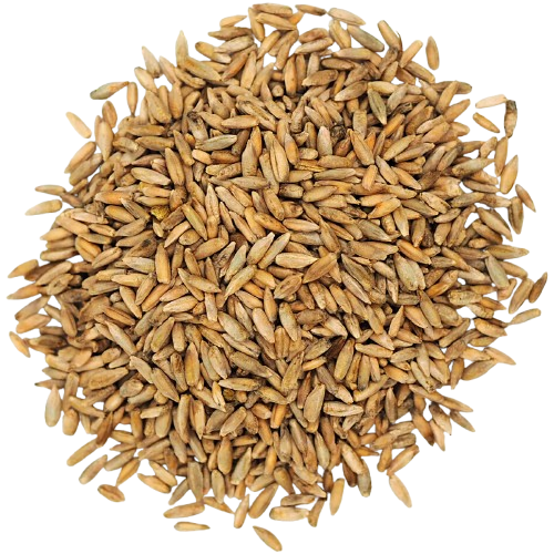 Rye