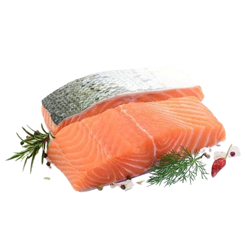 Salmon