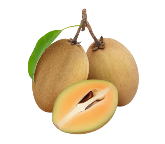 Sapodilla