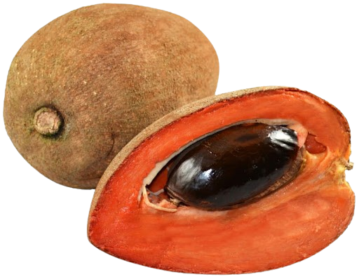 Sapote