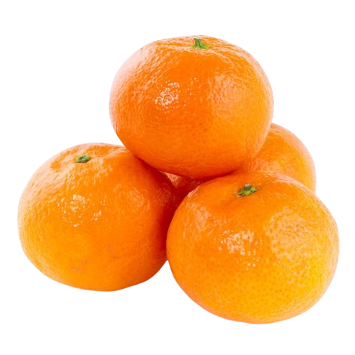 Satsuma