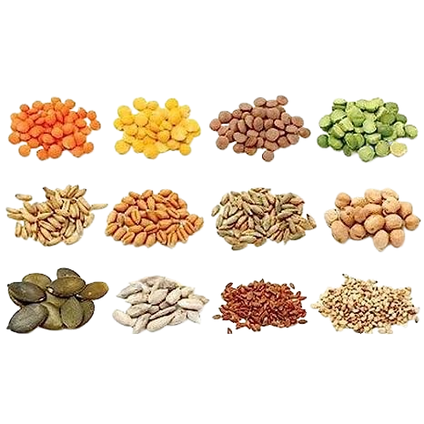 Seeds