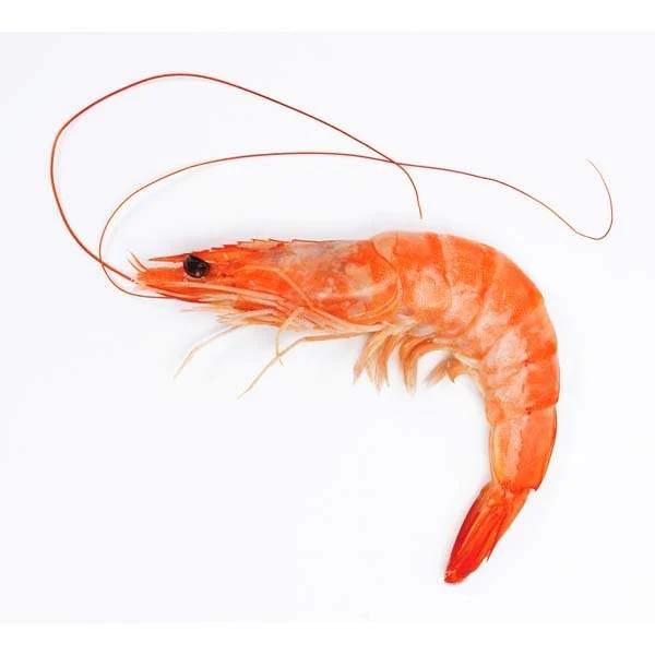Shrimp calories