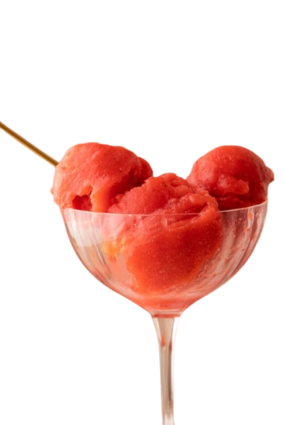 Sorbet