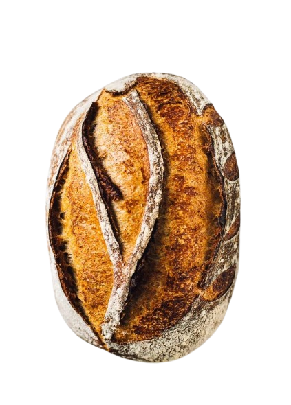 Sourdough Bread