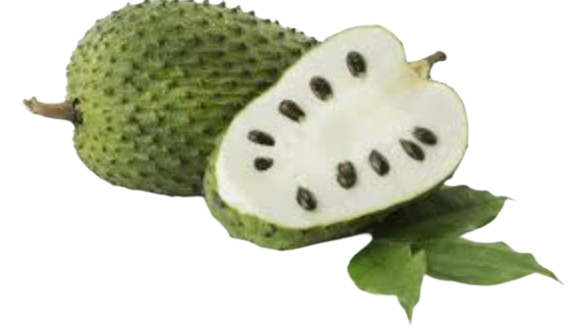 Soursop