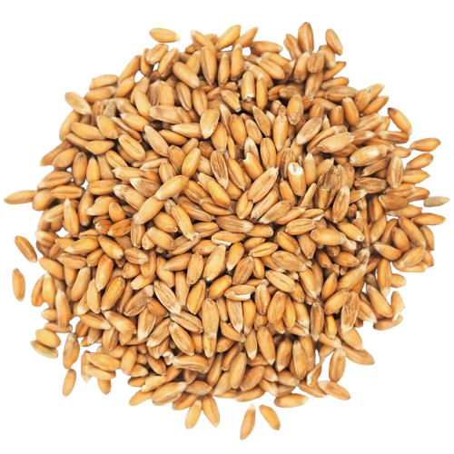 Spelt