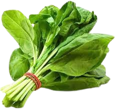 Spinach