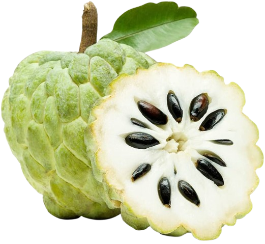 Sugar Apple