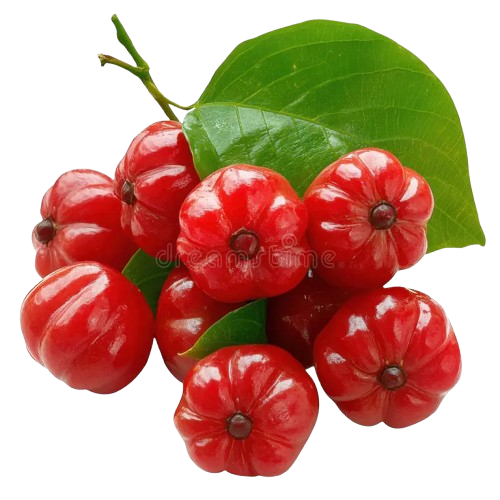 Surinam Cherry