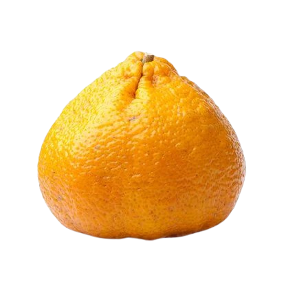 Tangor