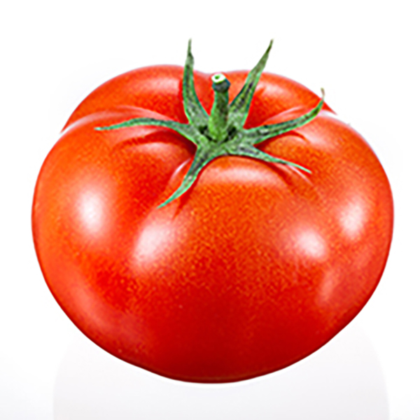Tomato calories