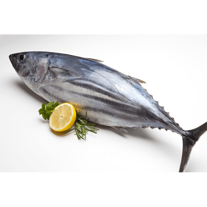 Tuna calories