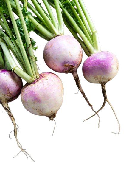 Turnip Greens