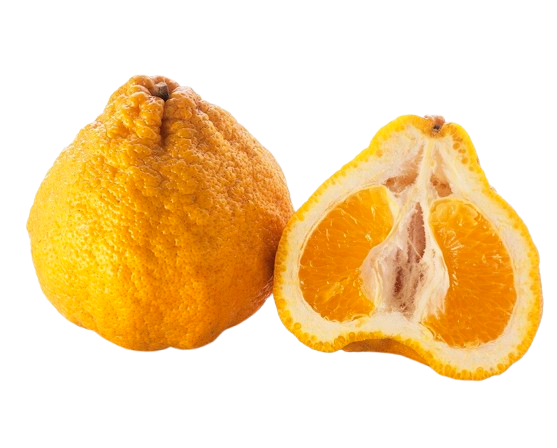 Ugli Fruit