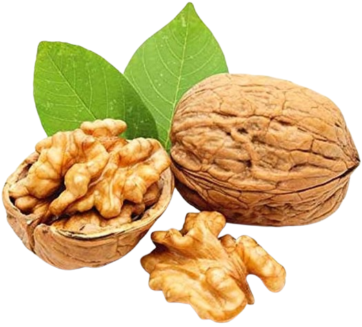 Walnut