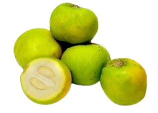 White Sapote