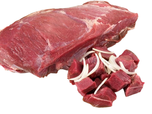 Wild Boar