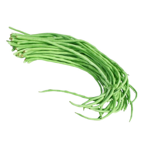 Yardlong Beans
