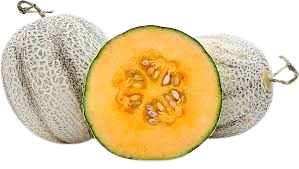 Zebra Melon
