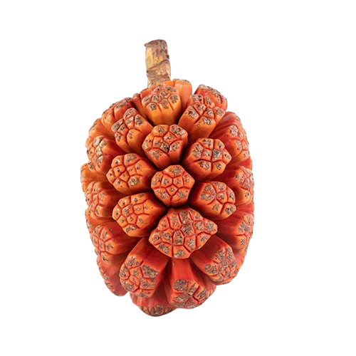 Zombie Fruit