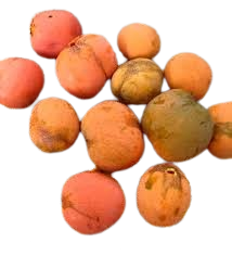 Zuluberry