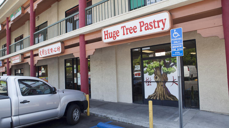 Huge Tree Pastry