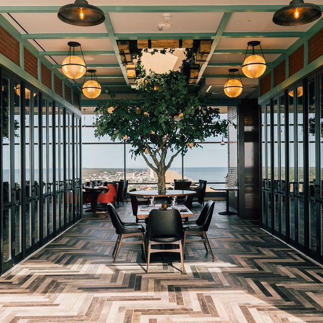 Orion’s Roof Garden and Dining