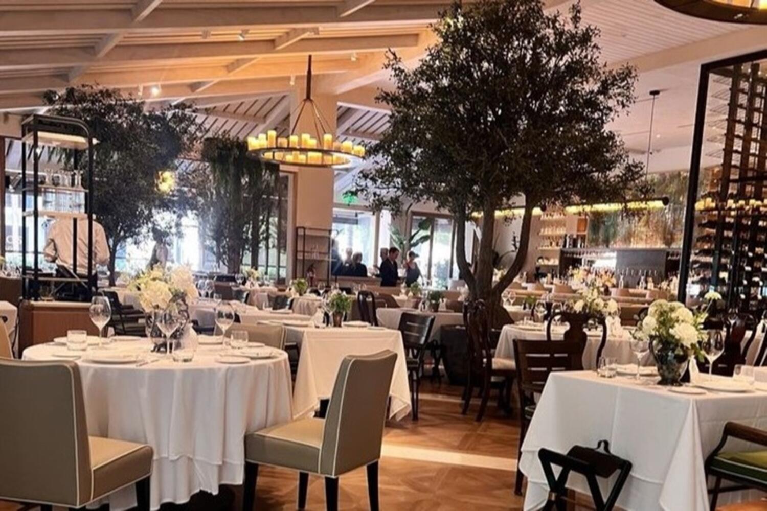 Novikov Beverly Hills