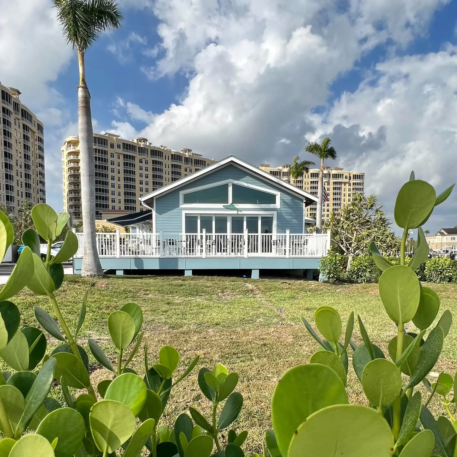 High Tide Social House