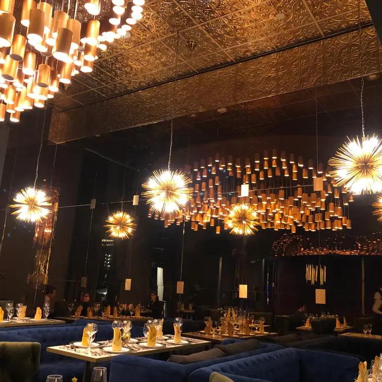 Bombay Velvet
