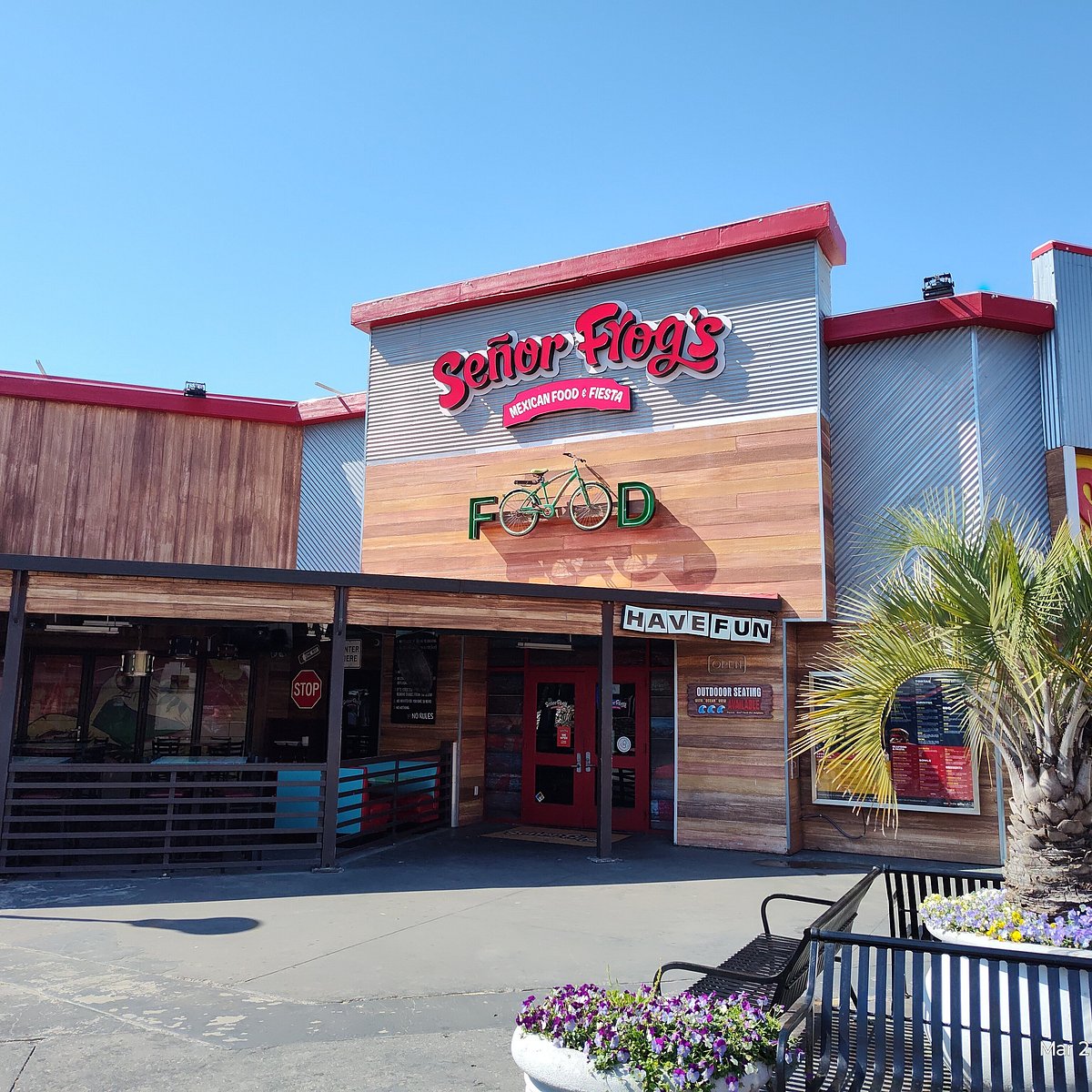 Señor Frog's | Myrtle Beach