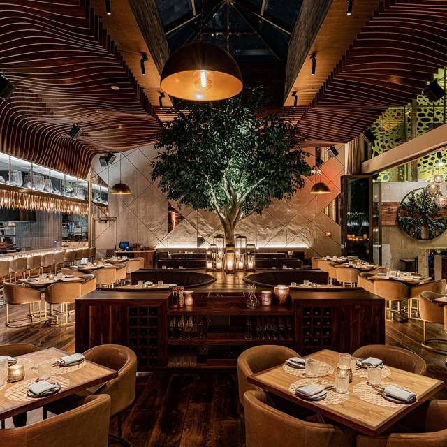 Toca Madera Scottsdale