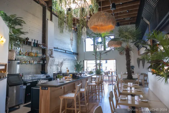 Cactus Restaurants - South Lake Union